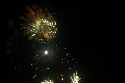 DSC_0234.JPG