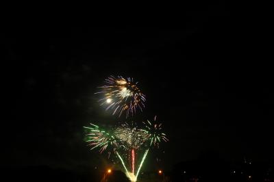 DSC_0246.JPG