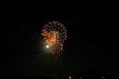 DSC_0250.JPG