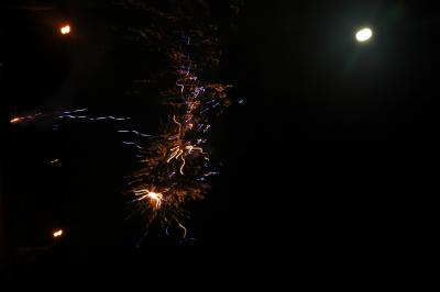 DSC_0305.JPG