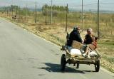 Uygur ladies on horse cart
