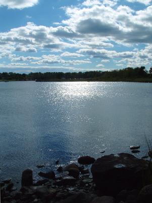 Bristol Harbor