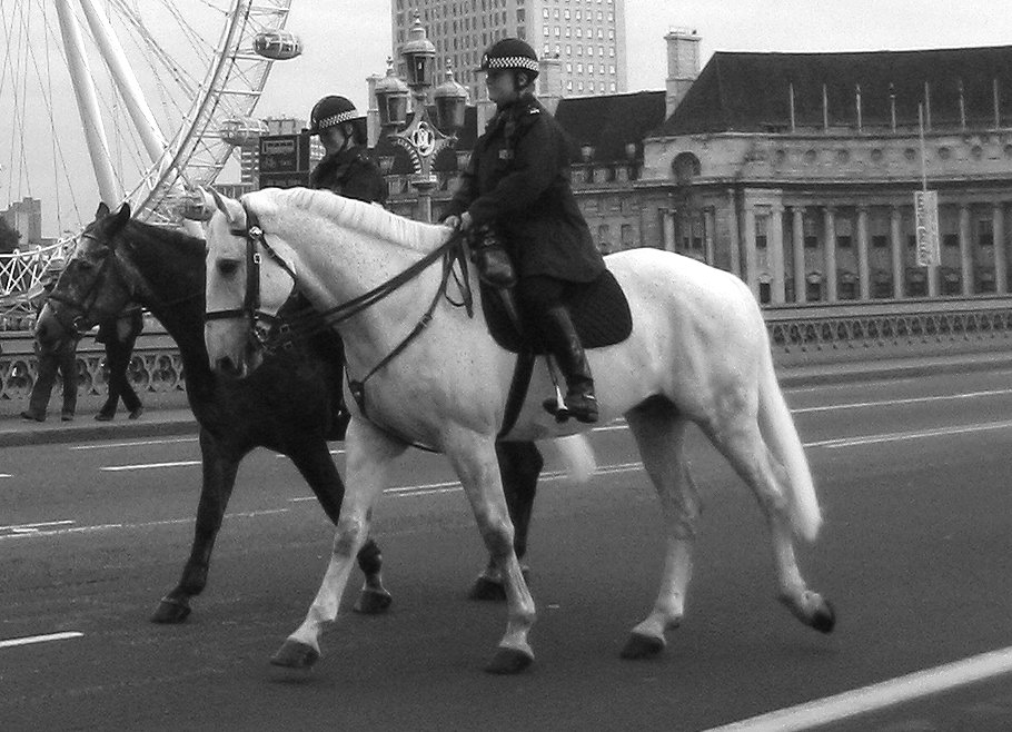 Bobbies on Horses