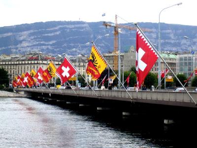 Flags Over Rhone River
