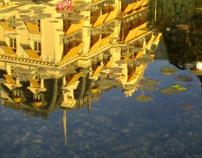 Reflection in Lily Pond