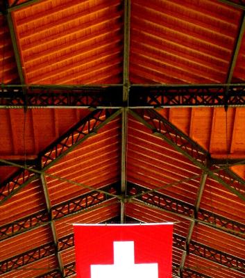 Swiss Flag and Roof