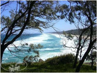 double island point