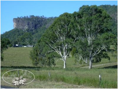 hinterland dreaming