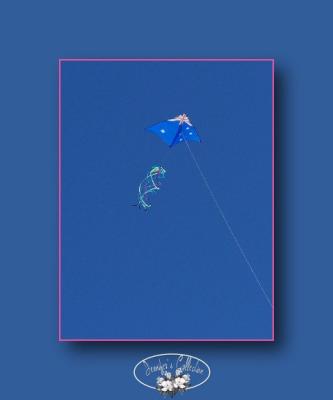 Aussie kite