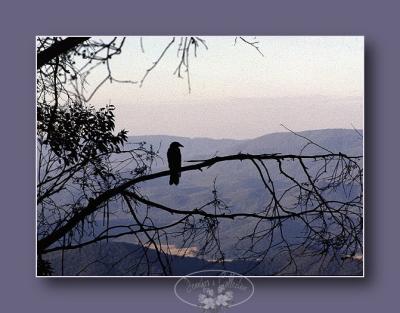 a wonderful view