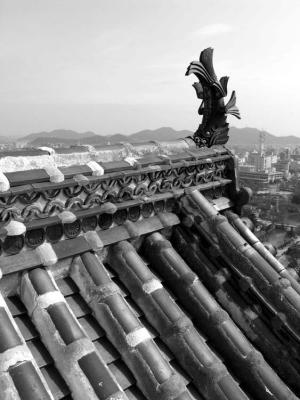 FISH ON THE ROOF (Himeji Castle)