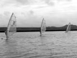 SAILERS