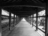PATH WAY