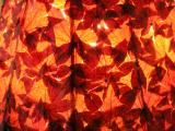 Maple Leaves on  Lamp