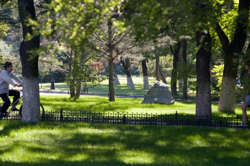 Just to give you an idea of what the paths around campus look like.