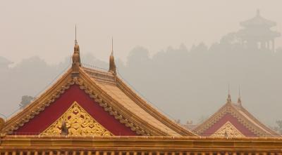 Tops of roofs of the Forbidden city, Jingshan Park and Hill in the background.
