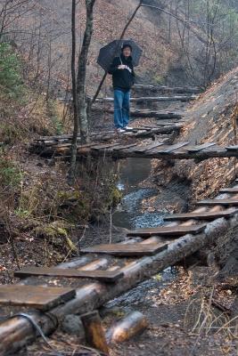 Masa on the maze of bridges across the stream.