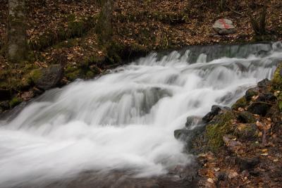 There was a ton of water since it had been raining.