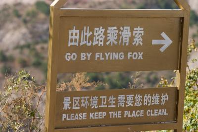 At this point, we were very confused as to what flying fox meant, but apparently it's what they call the zip line.