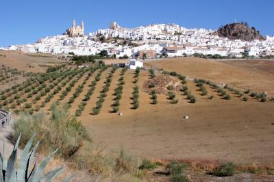 Andalucia is dry but fertile