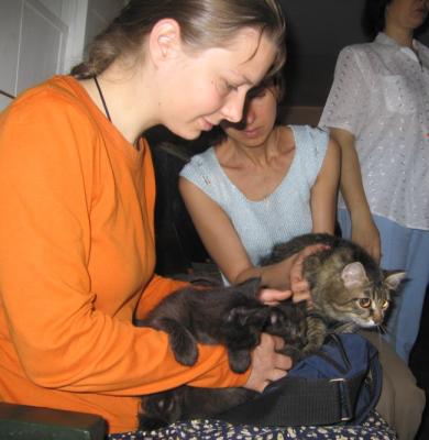 Very young kittens