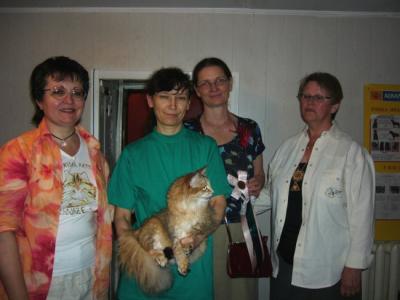 SFF Cat CLUB.jpg