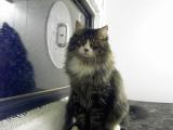 He likes posing in front of camera!