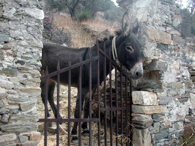 Wandern auf Naxos