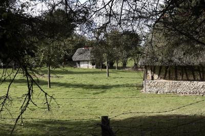 Thatched Barns