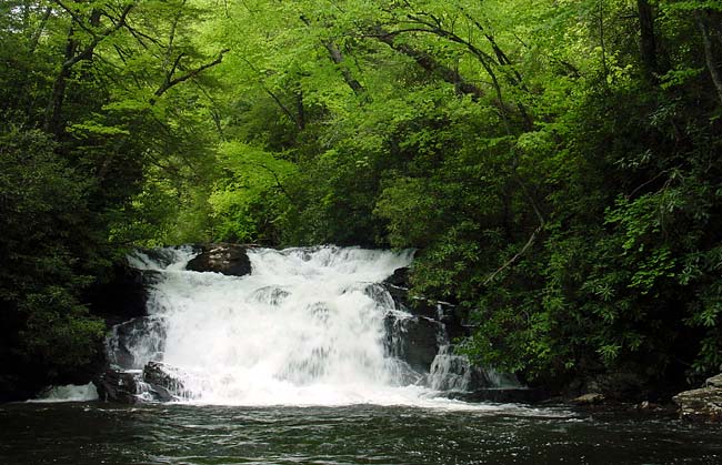 High Falls - Pisgah Forest 1