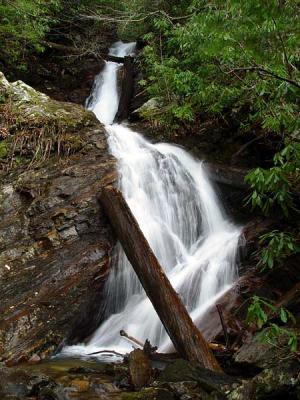 Bull Cove Falls 1