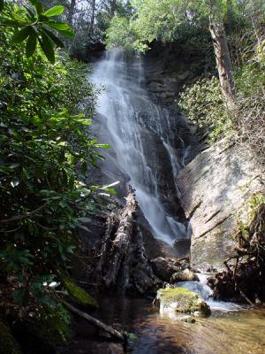 Laurel Fork Falls 1