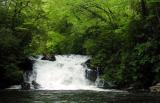 High Falls - Pisgah Forest 1
