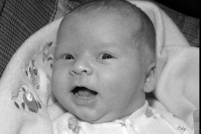 DSC_7067-aa_bw.jpg