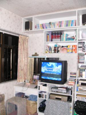 Master bedroom tv shelf