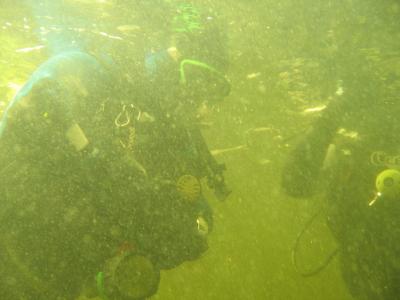 divemaster project 003.jpg