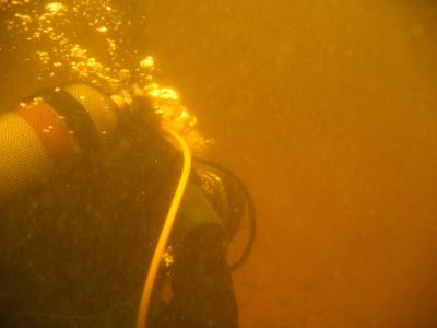 divemaster project 005.jpg