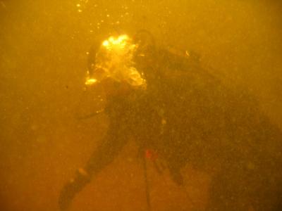 divemaster project 009.jpg