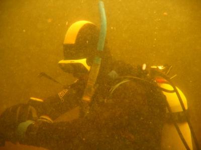 divemaster project 019.jpg