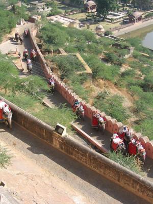 elephant transport