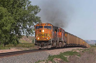 v3/79/383279/3/49194494.8917.jpg