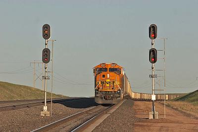 v3/79/383279/3/49194504.wbill.jpg
