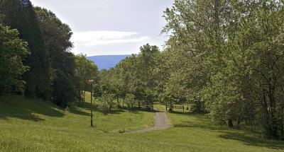 Country Road