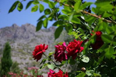 Niguelas, Andalucia