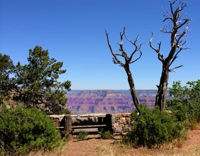 DSCN1935a.jpg
