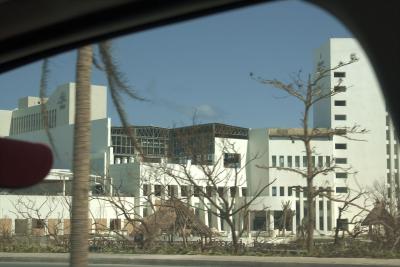 _MG_1241.jpg