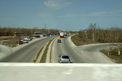 _MG_1310.jpg