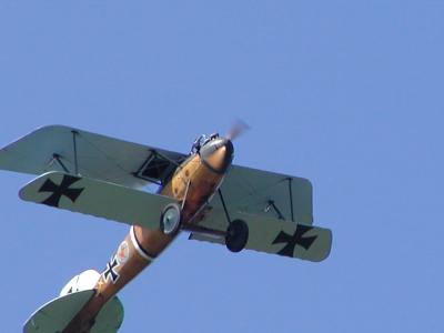 Albatros D.Va