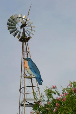 Blue Bird Gap Farm