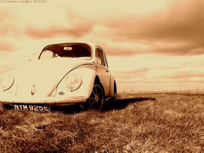 My Bug at Prestwold Sepia